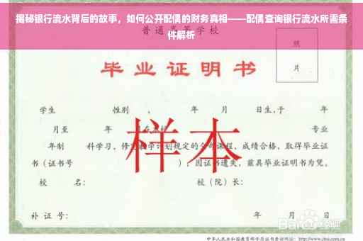 揭秘银行流水背后的故事，如何公开配偶的财务真相——配偶查询银行流水所需条件解析