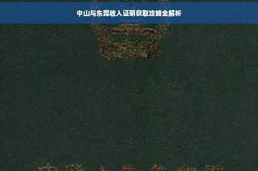 中山与东莞收入证明获取攻略全解析