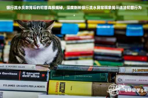 银行流水负数背后的犯罪真相揭秘，深度剖析银行流水异常现象揭示违法犯罪行为。