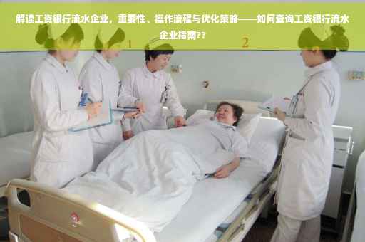 解读工资银行流水企业，重要性、操作流程与优化策略——如何查询工资银行流水企业指南??