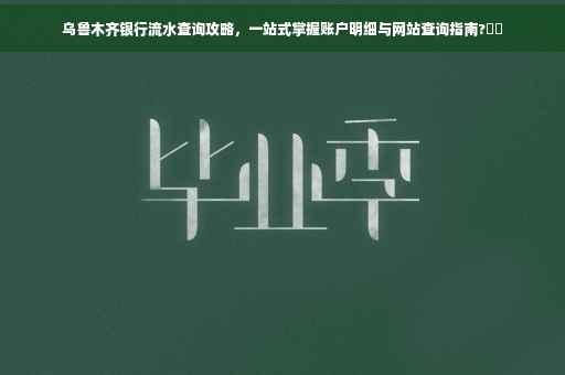 乌鲁木齐银行流水查询攻略，一站式掌握账户明细与网站查询指南?⚡️