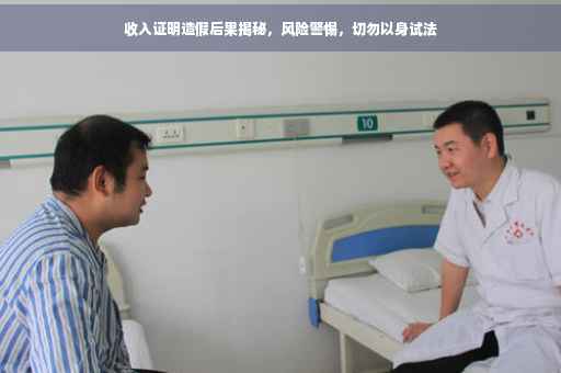 收入证明造假后果揭秘，风险警惕，切勿以身试法