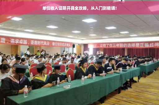 单位收入证明开具全攻略，从入门到精通！