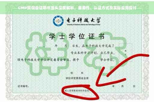 GMP贸促会证明书源头深度解析，重要性、认证方式及实际应用探讨