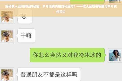 揭秘收入证明背后的秘密，中介隐瞒真相如何应对？——收入证明透明度与中介责任探讨