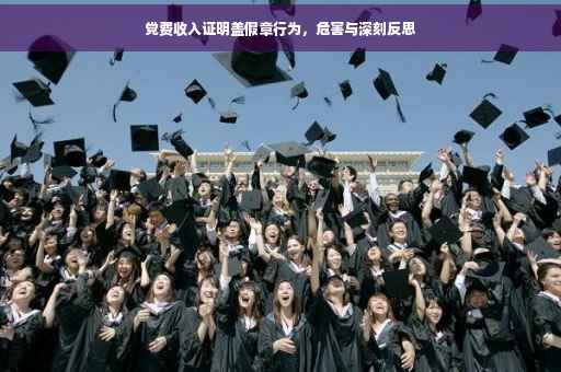 党费收入证明盖假章行为，危害与深刻反思