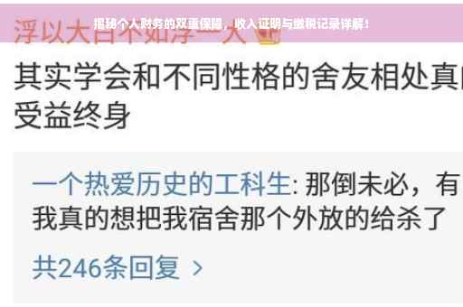 揭秘个人财务的双重保障，收入证明与缴税记录详解！