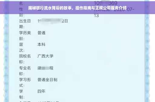 揭秘银行流水背后的故事，操作指南与正规公司服务介绍