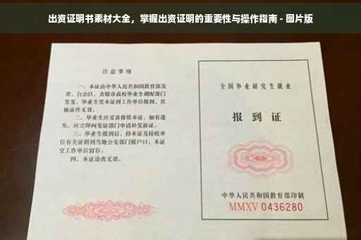 出资证明书素材大全，掌握出资证明的重要性与操作指南 - 图片版