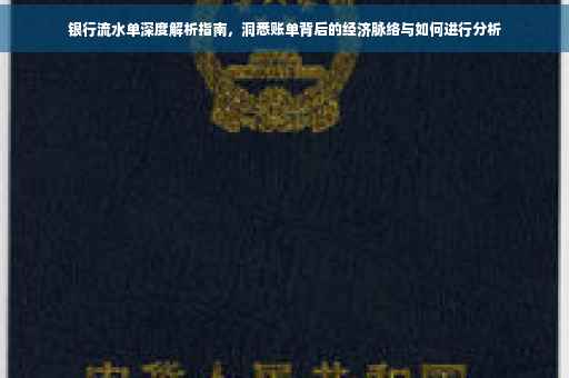 银行流水单深度解析指南，洞悉账单背后的经济脉络与如何进行分析