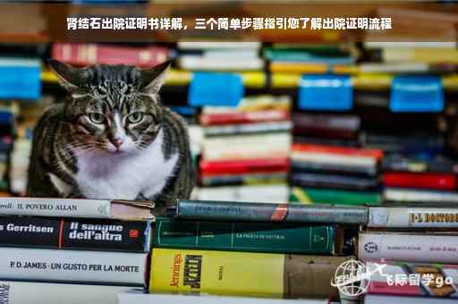 肾结石出院证明书详解，三个简单步骤指引您了解出院证明流程