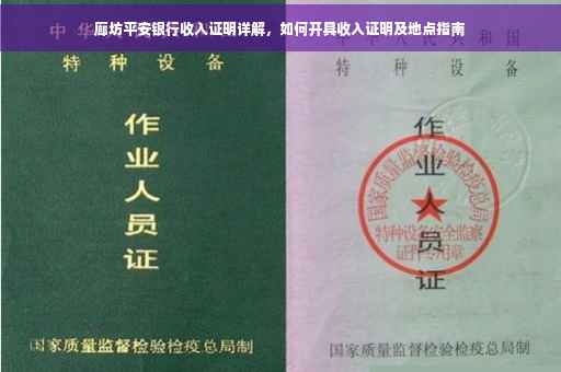 廊坊平安银行收入证明详解，如何开具收入证明及地点指南