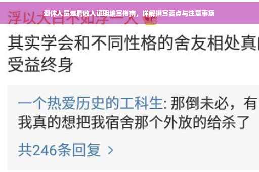 退休人员返聘收入证明编写指南，详解撰写要点与注意事项