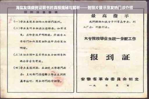 海盐发烧病例证明书的真相揭秘与解析——附图片展示及发热门诊介绍