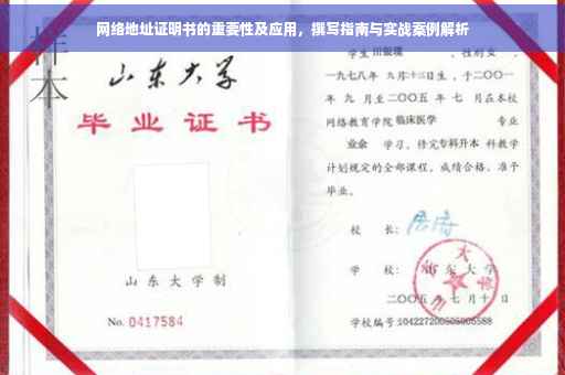 网络地址证明书的重要性及应用，撰写指南与实战案例解析