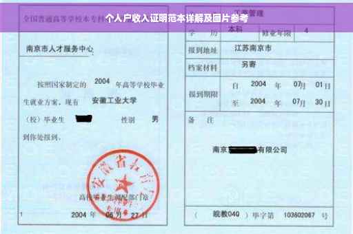 个人户收入证明范本详解及图片参考