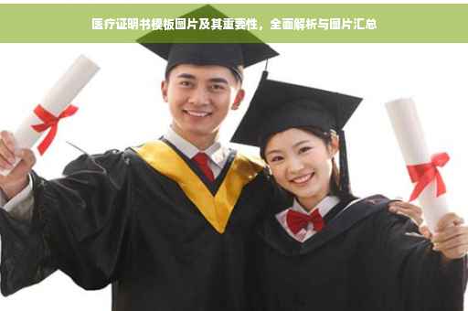 医疗证明书模板图片及其重要性，全面解析与图片汇总