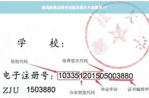 痛风疾病证明书详解及图片大全展示 ??