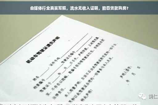 自媒体行业真实写照，流水无收入证明，能否贷款购房？