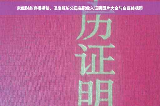 家庭财务真相揭秘，深度解析父母在职收入证明图片大全与自媒体观察