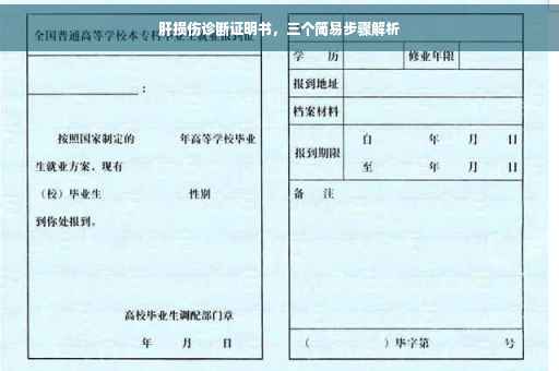 肝损伤诊断证明书，三个简易步骤解析