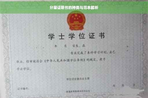 分居证明书的种类与范本解析