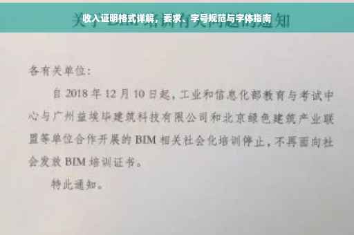 收入证明格式详解，要求、字号规范与字体指南