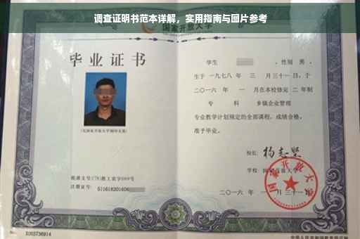 调查证明书范本详解，实用指南与图片参考
