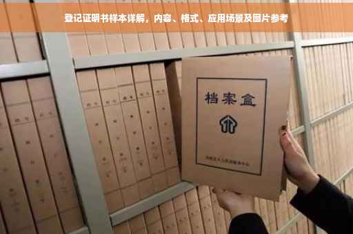 登记证明书样本详解，内容、格式、应用场景及图片参考