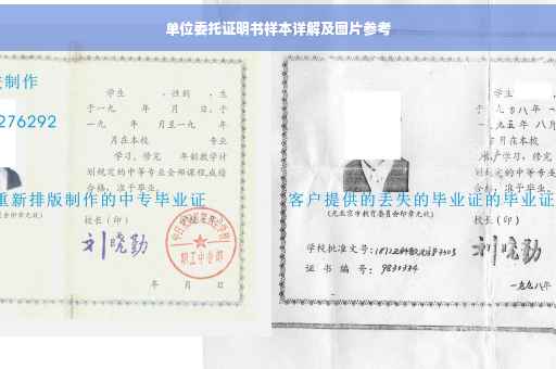 单位委托证明书样本详解及图片参考