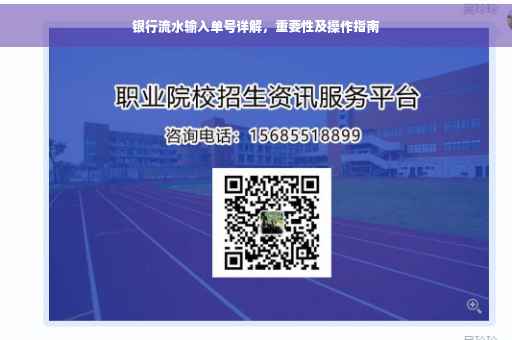 银行流水输入单号详解，重要性及操作指南
