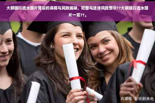 大额银行流水图片背后的真相与风险揭秘，犯罪与法律风险警示??大额银行流水图片一览??。
