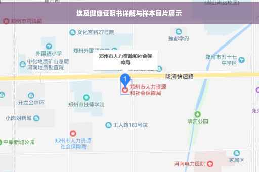 埃及健康证明书详解与样本图片展示