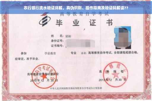 农行银行流水验证详解，真伪识别、操作指南及验证码解读??