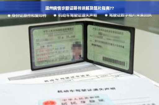 温州病情诊断证明书详解及图片指南??