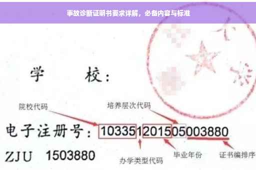 事故诊断证明书要求详解，必备内容与标准