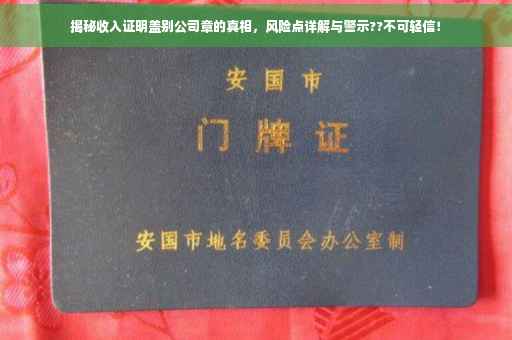 揭秘收入证明盖别公司章的真相，风险点详解与警示??不可轻信！