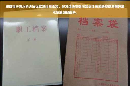 获取银行流水的方法详解及注意事项，涉及违法犯罪问题需注意风险规避与银行流水获取途径解析。