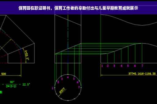 保育园在职证明书，保育工作者的辛勤付出与儿童早期教育成就展示