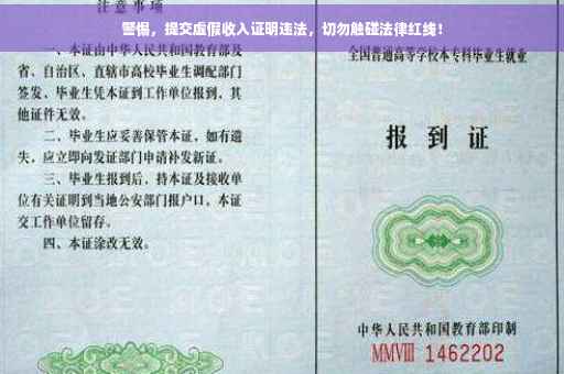 警惕，提交虚假收入证明违法，切勿触碰法律红线！