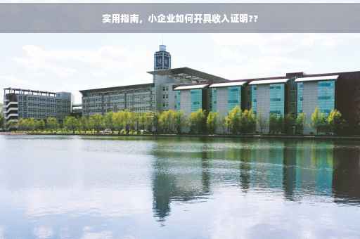 实用指南，小企业如何开具收入证明??