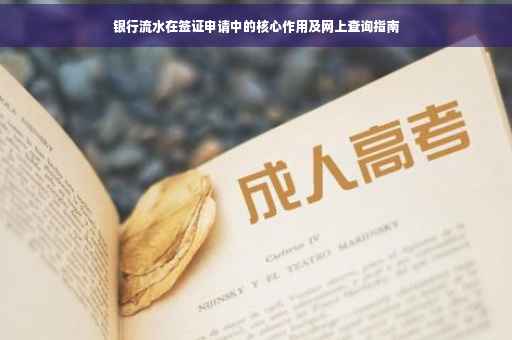 银行流水在签证申请中的核心作用及网上查询指南