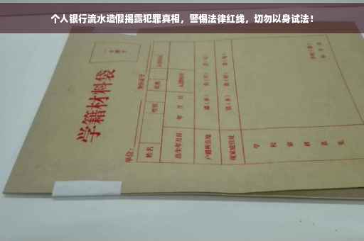 个人银行流水造假揭露犯罪真相，警惕法律红线，切勿以身试法！