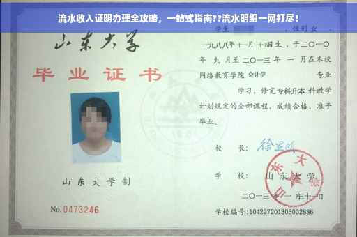 流水收入证明办理全攻略，一站式指南??流水明细一网打尽！