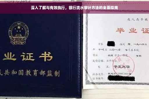 深入了解与有效执行，银行流水审计方法的全面指南