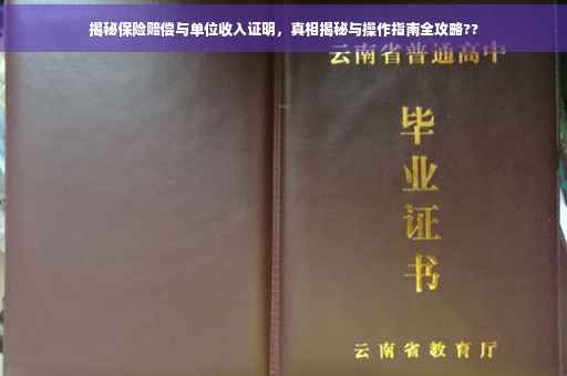 揭秘保险赔偿与单位收入证明，真相揭秘与操作指南全攻略??