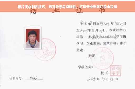 银行流水制作技巧，提升效率与准确性，打造专业财务记录全攻略