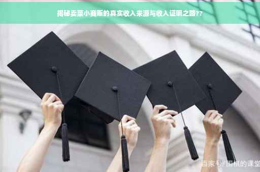 揭秘卖菜小商贩的真实收入来源与收入证明之路??