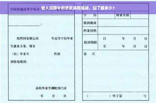 收入证明中的贷款真相揭秘，你了解多少？