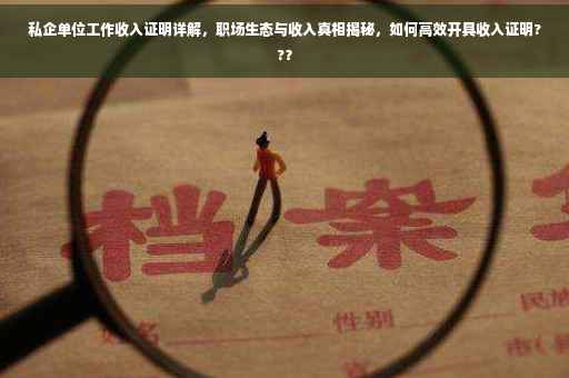 私企单位工作收入证明详解，职场生态与收入真相揭秘，如何高效开具收入证明??？
